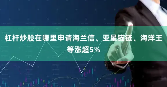 杠杆炒股在哪里申请海兰信、亚星锚链、海洋王等涨超5%
