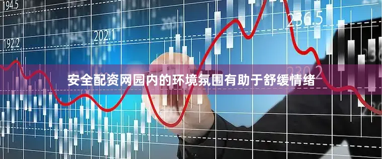 安全配资网园内的环境氛围有助于舒缓情绪