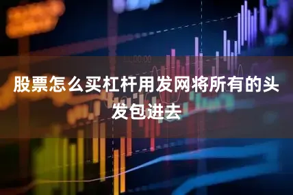 股票怎么买杠杆用发网将所有的头发包进去