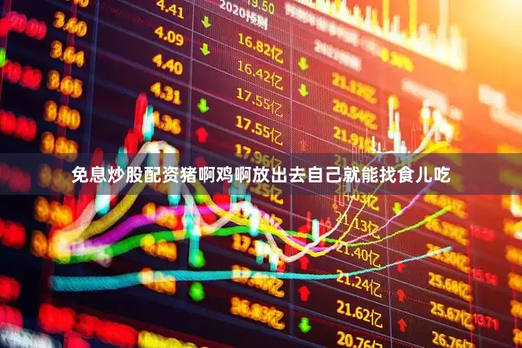 免息炒股配资猪啊鸡啊放出去自己就能找食儿吃
